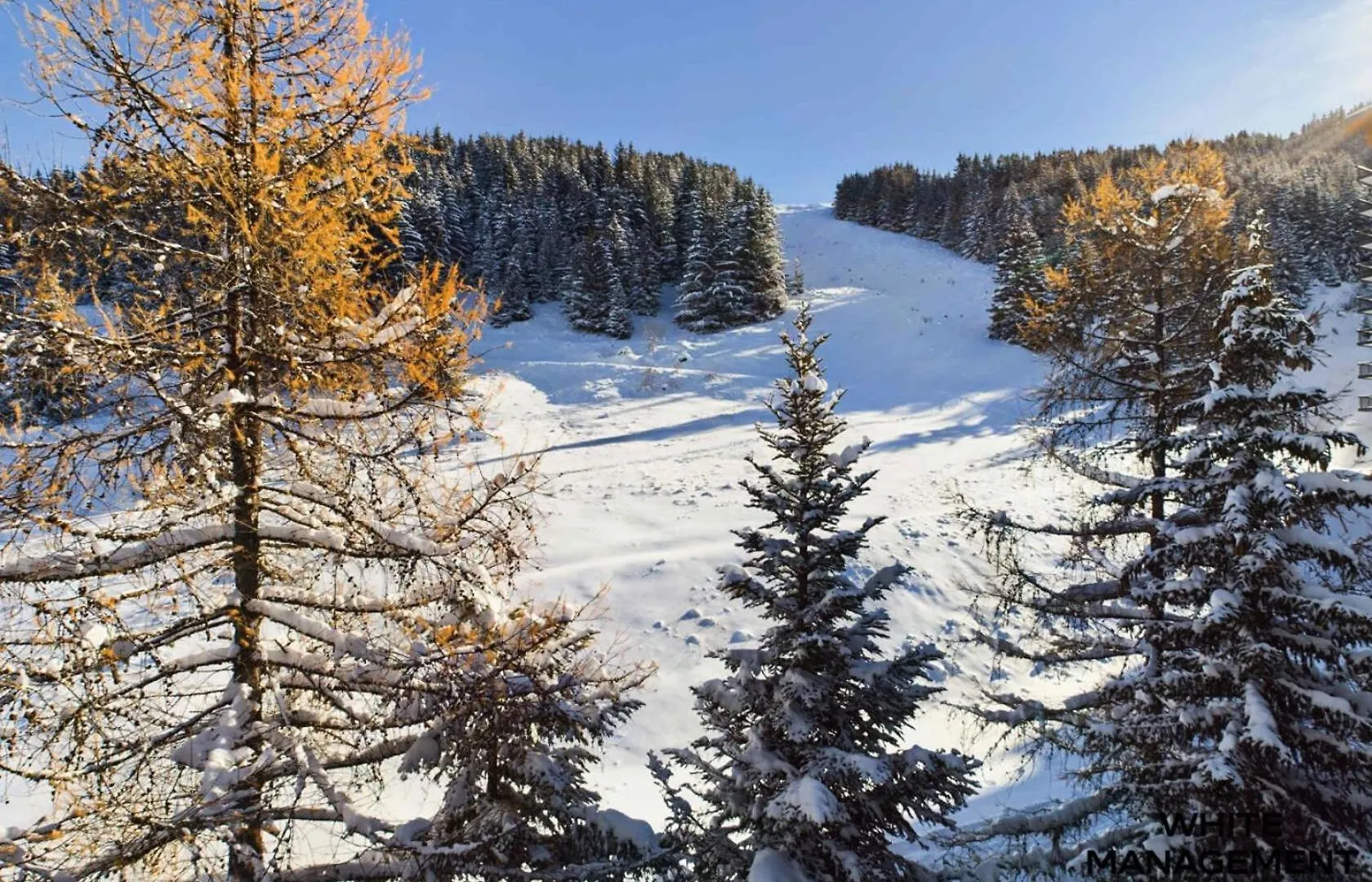 Residence Ariondaz Anemone - Penthouse Familial Skis Aux Pieds Mae-4724 Courchevel Apartment
